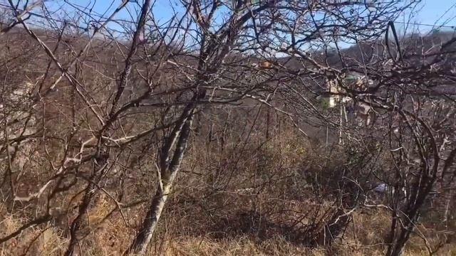 Видовой участок а Сочи 12 соток