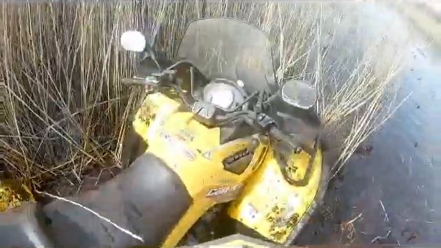 panevezio keturraciu klubas bebrai:) смотреть онлайн