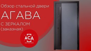 Заказная дверь Агава с зеркалом. Видеообзор