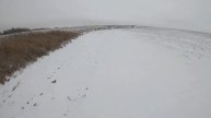 Охота на зайца!Первый снег ,иж 27,дратхаар,рпг!!!!!!