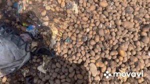 Минск свалка. Деньги из мусора. Витёк мусорщик.
