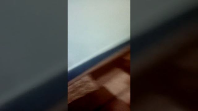 11 февраля 2020 г. смотреть онлайн