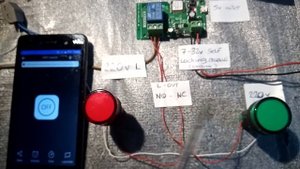 DIY Basics - 1ch dc 5v/7-32v Relay Module switch + clean NO/NC contact  eWelink - Alarms/ relays et