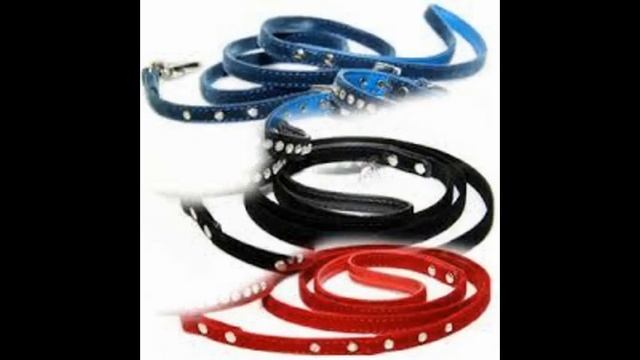 сонник собака на поводке смотреть онлайн