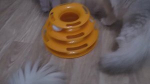 Игрушка для кошек