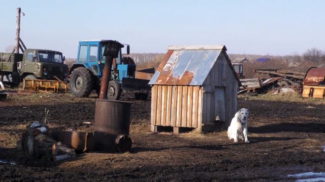 Неволина - родина трудолюбивых людей смотреть онлайн
