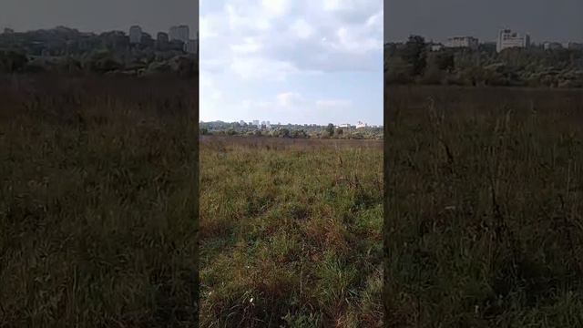 from the riverbank side смотреть онлайн