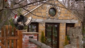 Пиде пицца Азербайджанская Кухня Деревенская Кухня Рецепты