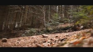 Кроссовый спортбайк / Спортбайк на кроссовой резине