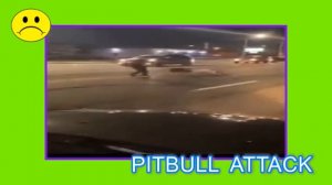 WORST PITBULL ATTACK FOOTAGE
