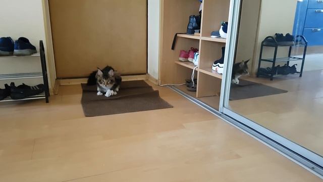 Кьюберт и бумажка :) смотреть онлайн