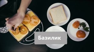 Итальянский сэндвич в сэндвичнице BBK ES027