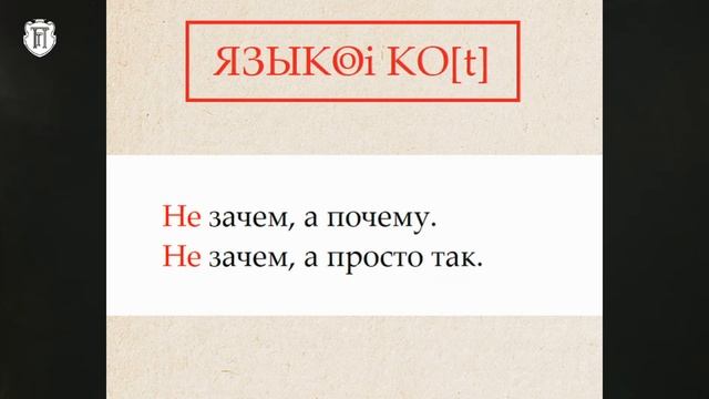 Незачем, не зачем или не за чем? Орфографические заметки. Как правильно?