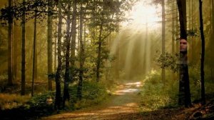 Шутка Ворона