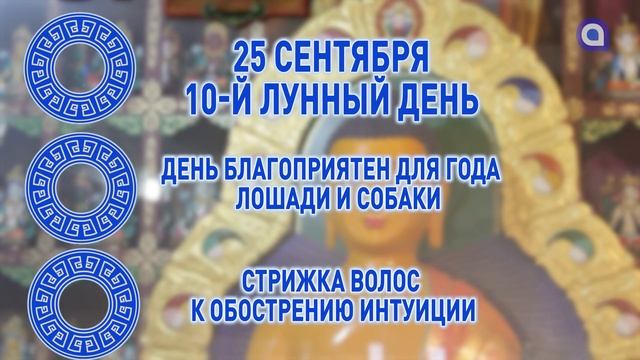 Лошади и собаки, встретьтесь с любимыми смотреть онлайн