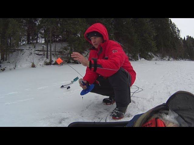 РЫБАЛКА НА ЖЕРЛИЦЫ!!ЩУКА В КАМЕРЕ!!!КАК ПРАВИЛЬНО НАСАДИТЬ ЖИВЦА,ПОДВОДНАЯ СЪЕМКА,КАМЕРА КАЛИПСО. смотреть онлайн