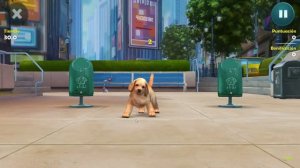 Kinectimals Unleashed  - Windows 10 -  Game