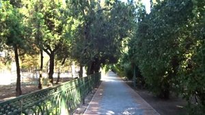 Санаторий "Скадовск". Обзор. Прогулка по территории.