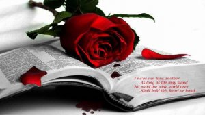 Ara Martirosyan - Siro Namak