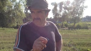 Холмогорские гуси Касилова Анатолия из Грайворонского района.