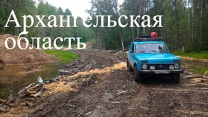 Нива Порженский погост