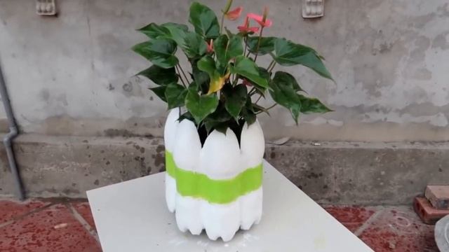 ДЕКОР САДА из остатков цемента, бутылок и яичных лотков! ГОРШКИ для сада СВОИМИ РУКАМИ смотреть онлайн