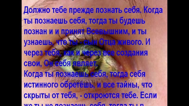 Истинное учение Иисуса Христа. Правдозор