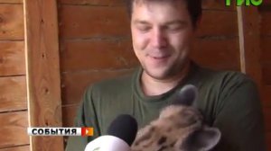 Пумята в самарском зоопарке