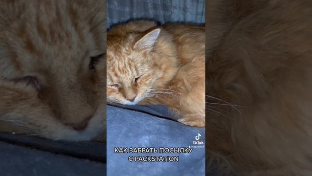 Как забрать посылку с Packstation смотреть онлайн