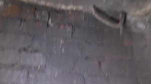 Подземная Москва. Река Пресня и ее притоки