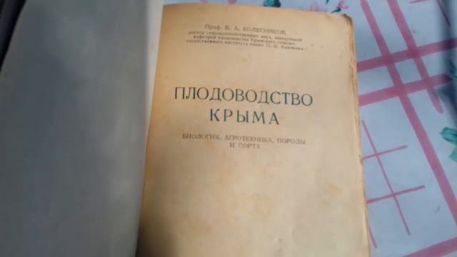 Фундук Трапезунд.Кустовая формировка и доращивание в отсеве.