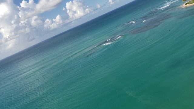 Punta Cana смотреть онлайн