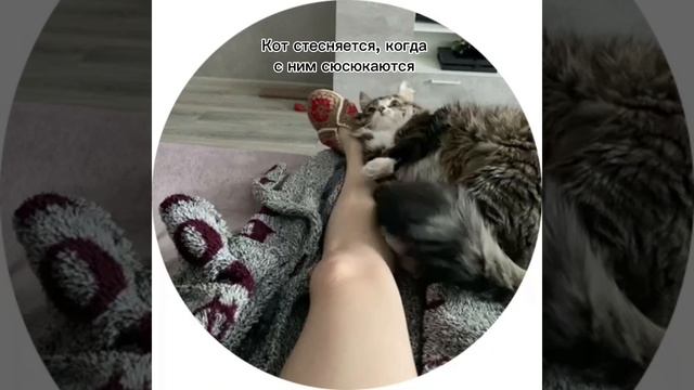 #shorts