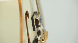 GRETSCH - G6136-55 Vintage Select Edition '55 FALCON