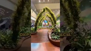 самый красивый аэропорт в мире.