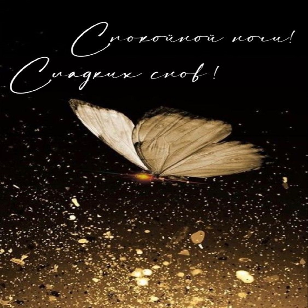 Спокойной августовской ночи. Спокойной августовской ночи сладких снов. Спокойной августовской ночи сладких снов. Спокойной летней ночи. Доброй ночи картинки красивые.