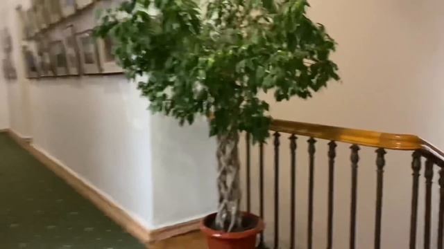 ОТДЫХ В КРЫМУ! ЛИВАДИЙСКИЙ ДВОРЕЦ! Что с моей головой… смотреть онлайн