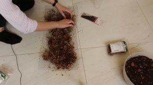 ЦВЕТОЧНЫЙ ВЛОГ: питательный тотем-опора для монстеры фридрихшталя