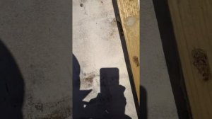 Сборка каркаса под эковату на газоблок, утепление эковатой газоблока