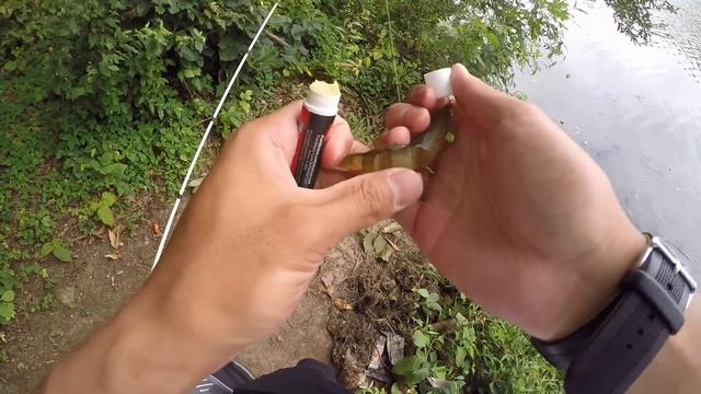 First MTB Slam (12 Hour Marathon)! 1Rod1ReelFishing Style смотреть онлайн