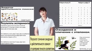 [50] - Как ожидания становятся реальностью. (stopsoznanie.ru)