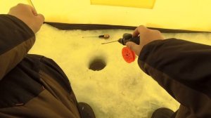 ЭЛЕКТРОННАЯ БЕЗМОТЫЛКА DAIKA. РЫБАЛКА НА БЕЗМОТЫЛКУ DAIKA