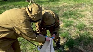 В России с начала эпидсезона четыре тысячи человек обратились в больницы после укусов клещей