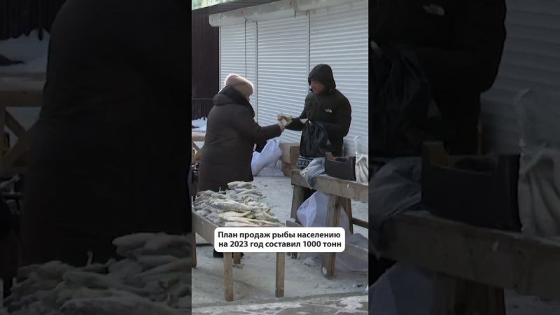 "Доступная рыба" - без торговых наценок на прилавки поставляется 18 видов рыбы #новостисахалина