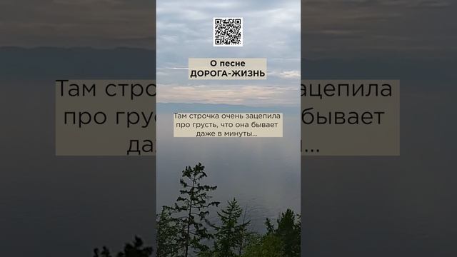 Нужно брать и что-то делать ради мечты! г. Новосибирск. #сказочныймир #милоеотечество #дорогажизнь