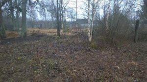 Участок после первичной вырубки деревьев и кустарников