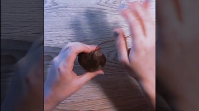 Пошив медведя| Как сшить игрушку| Игрушки ручной работы| Мастер-класс
