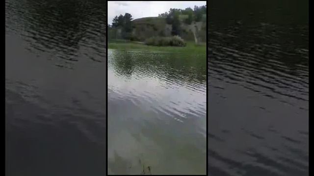 😃 р. Тальменка! 😍🤪