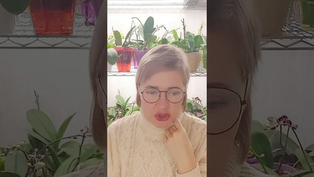 что делать, если остались только воздушные корни смотреть онлайн