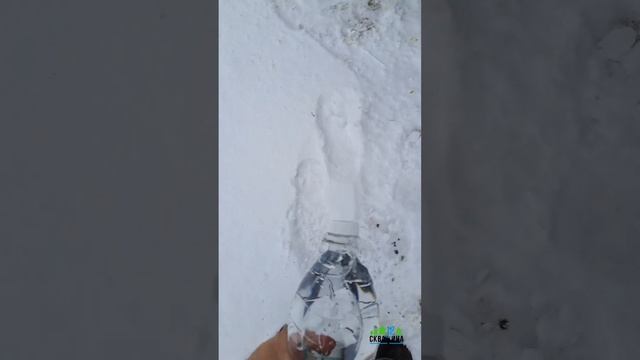 Анализ воды?/ Как правильно сделать забор воды из скважины для хим.анализа?